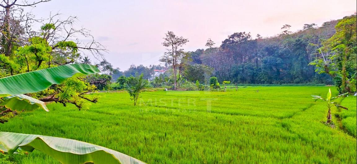 House for Rent in Hokandara- image 6