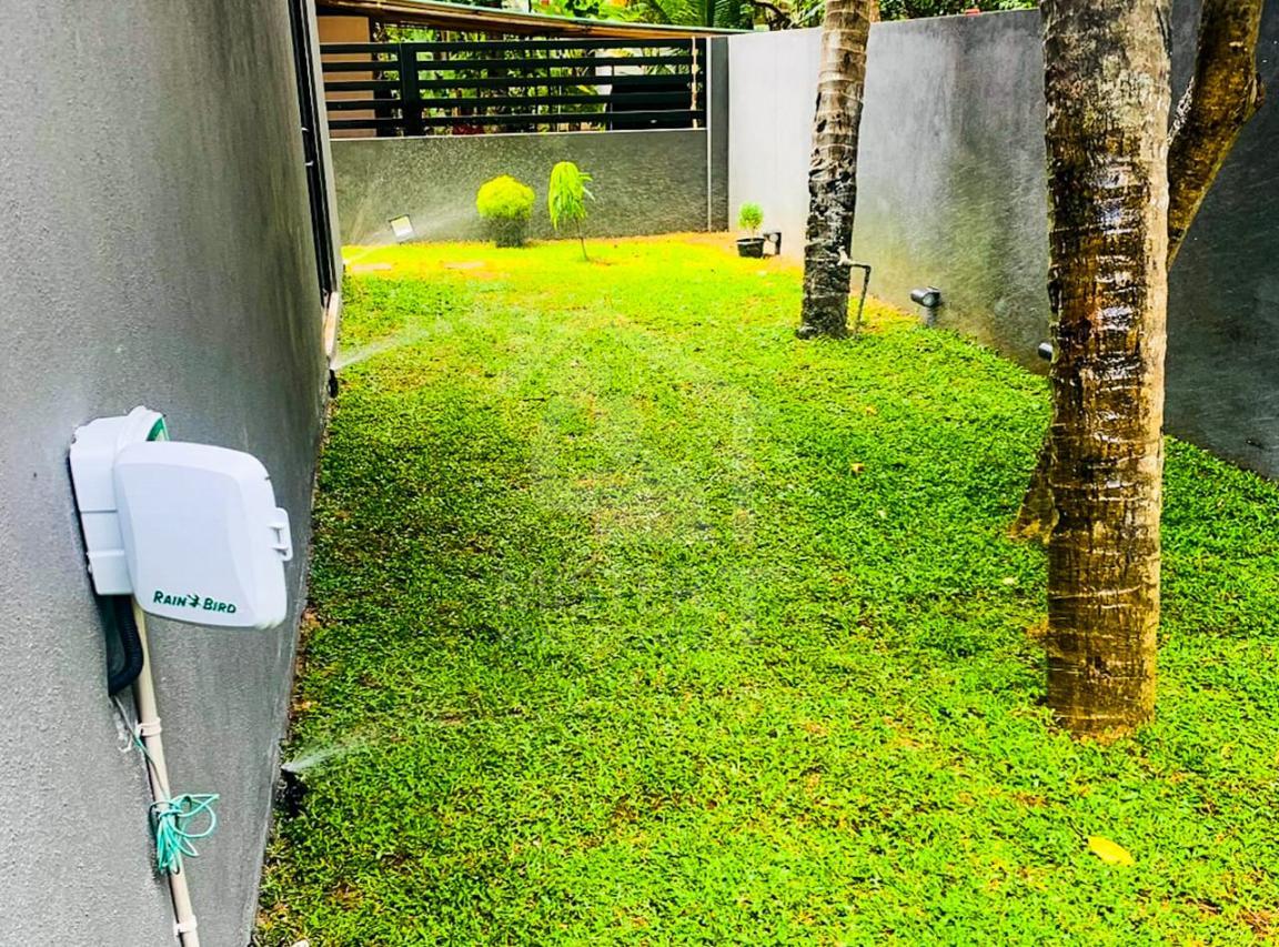 Apartment for Rent in Nugegoda- image 6