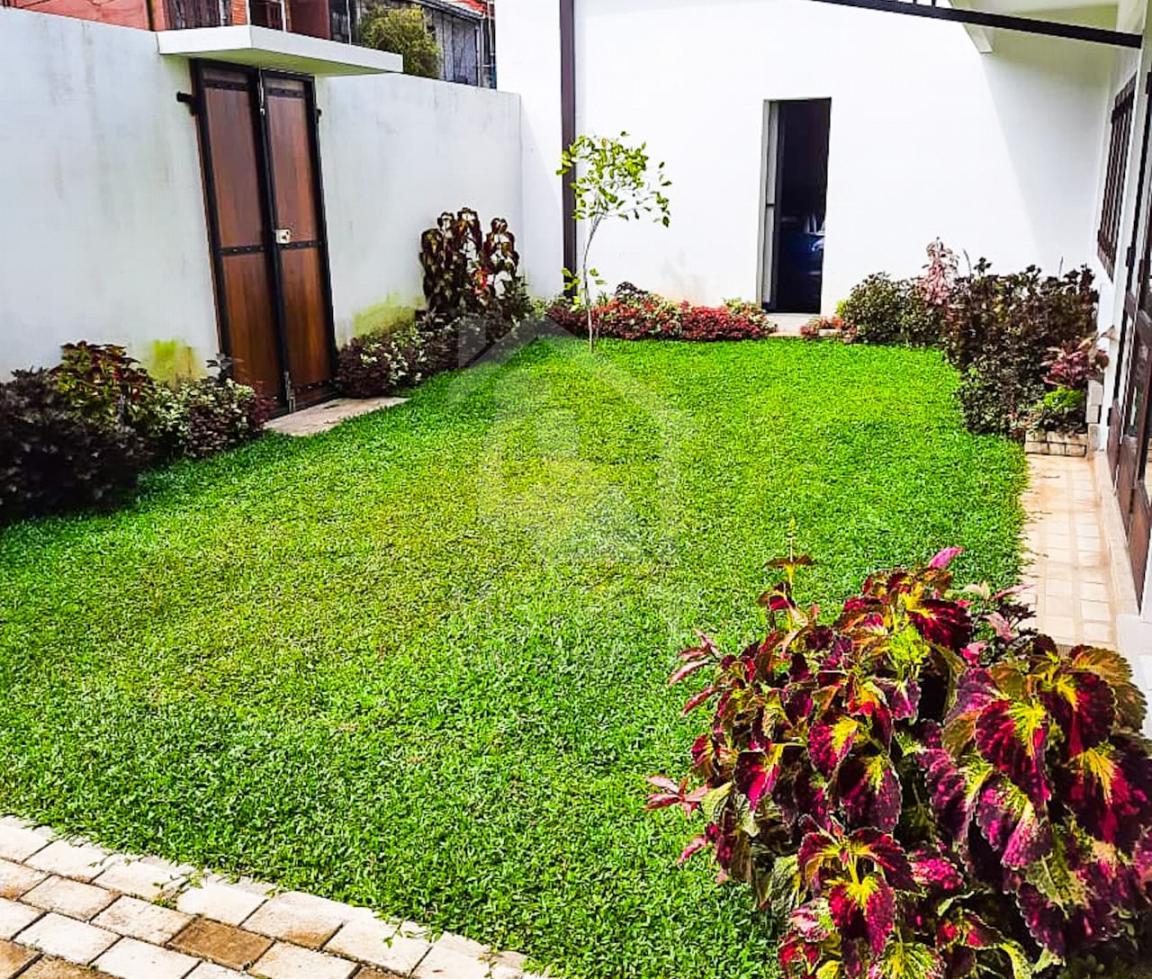 House for Rent in Colombo 08- image 7