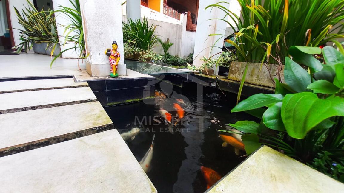 House for Rent in Pita Kotte- image 8