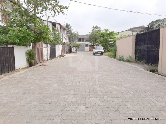 House for Rent in Mount Lavania- image 9