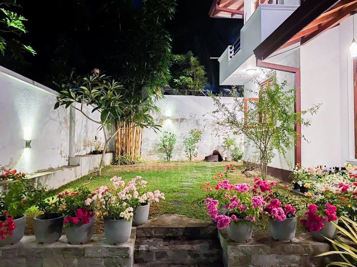 House for Rent in Battaramulla - image 3