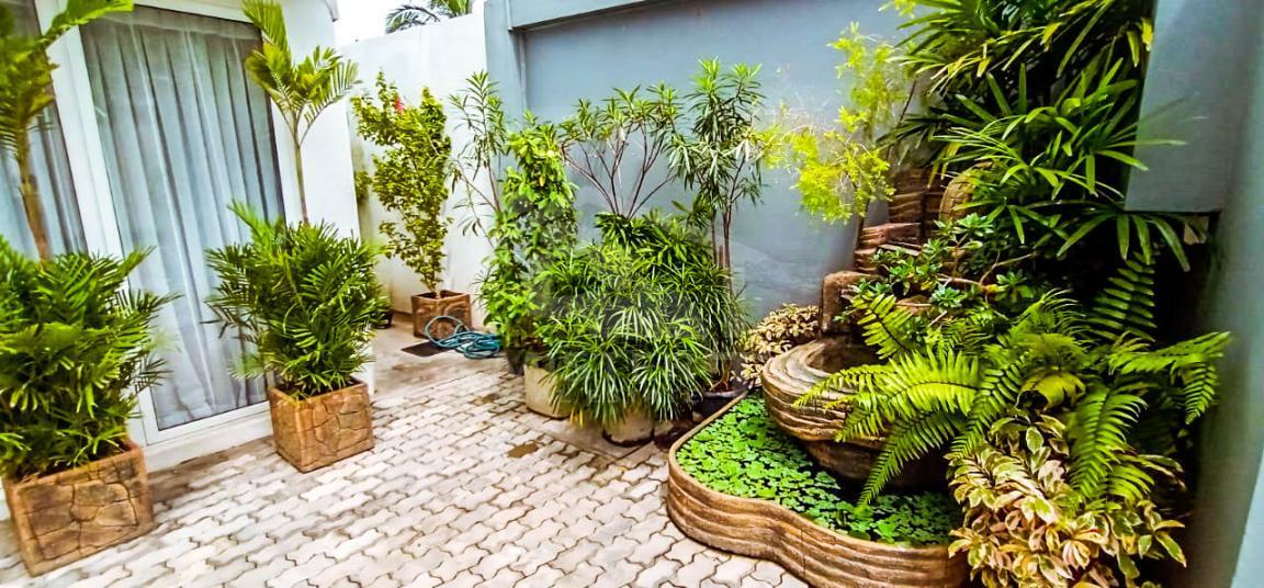 House for Rent in Dehiwala- image 5