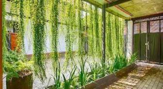 House for Rent in Colombo- image 5