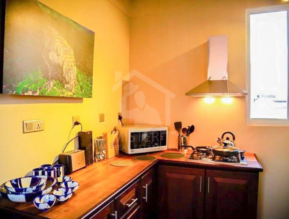 Private Apartment for Rent in Colombo 06- image 6