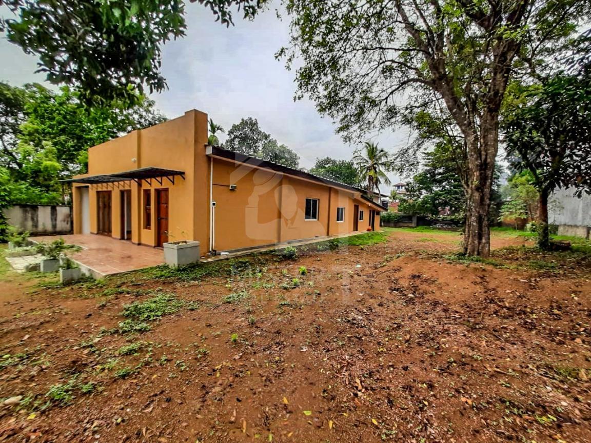 House for Rent in Nugegoda- image 7