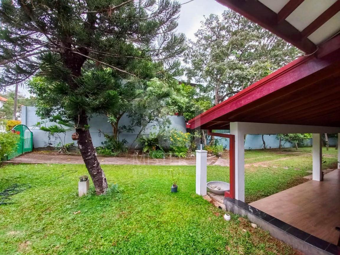 Studio Apartment for Rent in Nugegoda- image 3