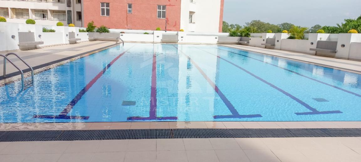 Apartment For Rent in Trillium Residencies- image 7