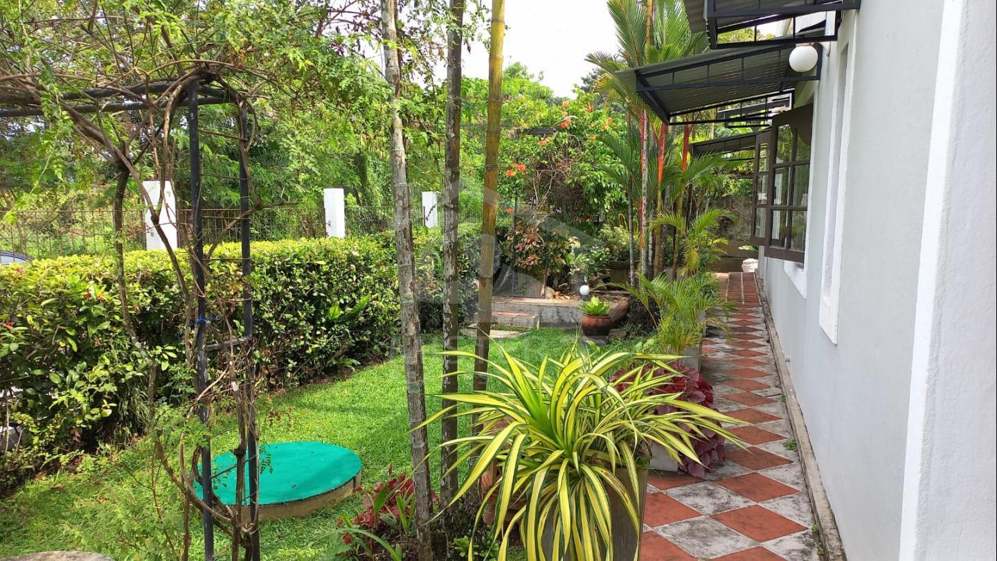 House for Rent in Pelawatta- image 8
