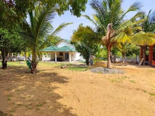 Commercial Property For Sale In Panama- image 3