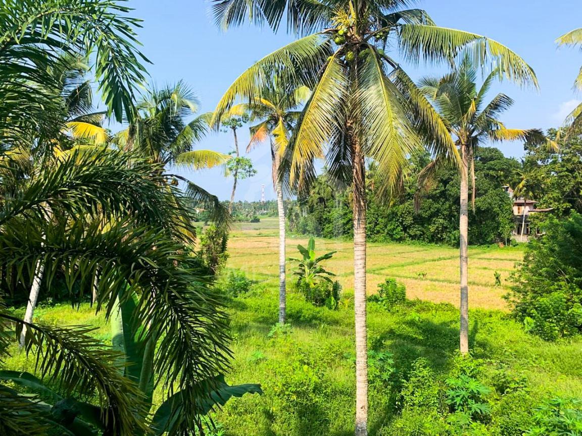 House for Sale Kesbewa- image 3