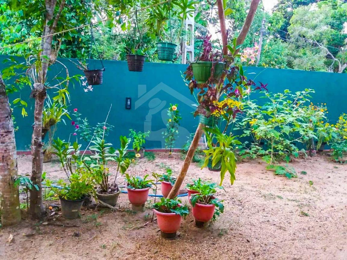 House for Sale in Galle- image 4