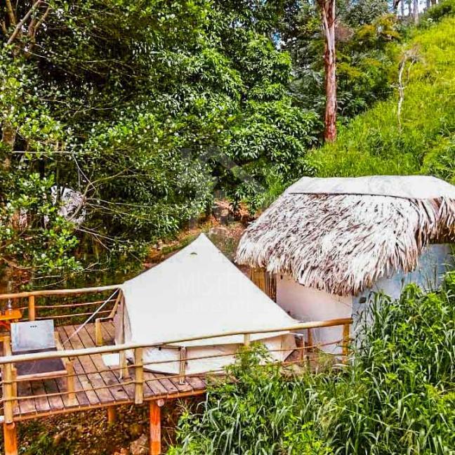 Property for Sale in Ella- image 8