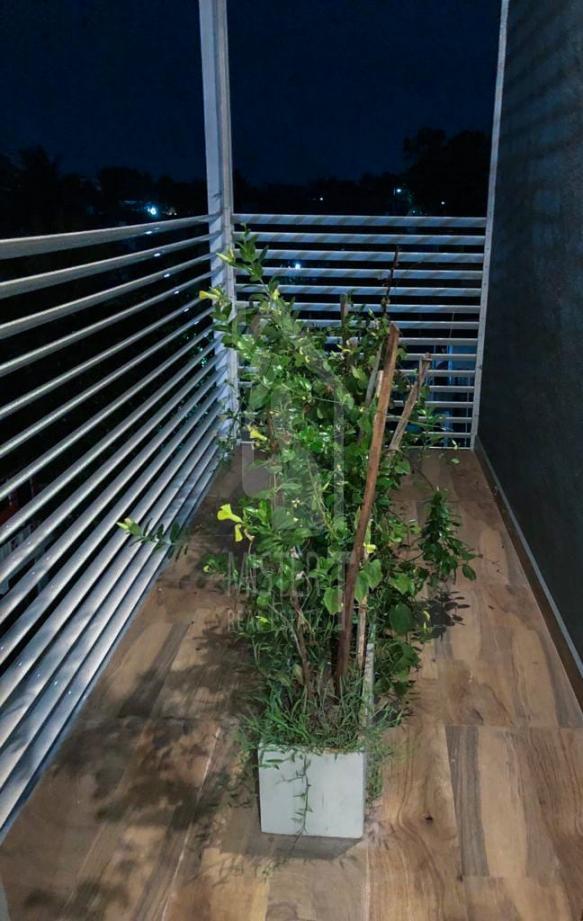 House for Sale in Thalawathugoda - image 4