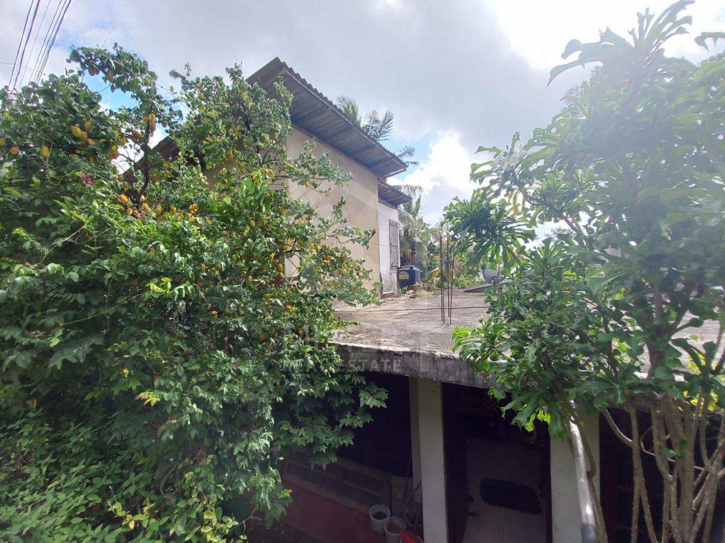 House for Sale in Madiwela - image 4