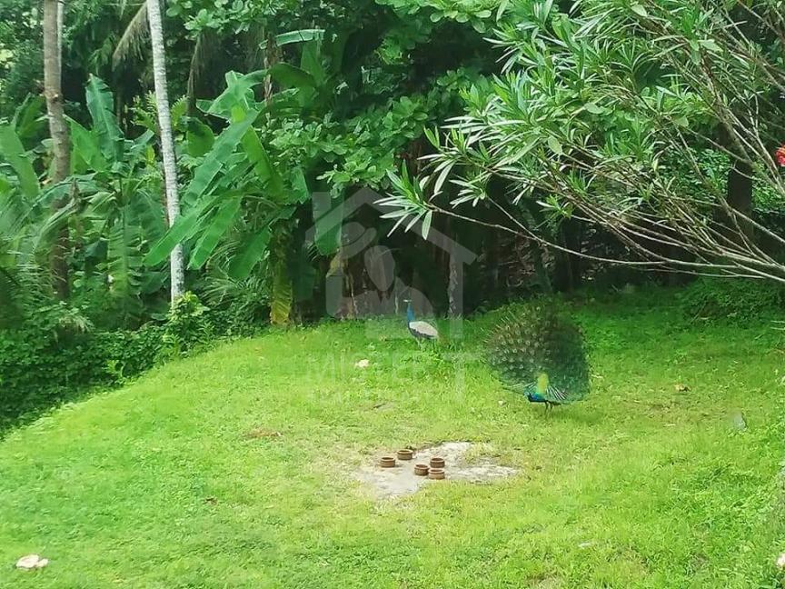 Commercial Property for Sale in Hikkaduwa - image 5